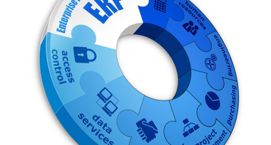 A Sneak Peek At Enterprise Software Implementation: SaaS (Software as a Service)