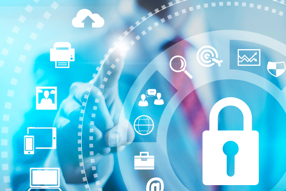 Securing Company Software A Compressive Guide to Enterprise Security Software Development