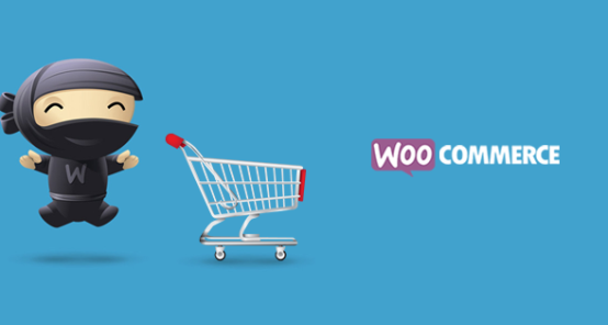 WooCommerce Customization Plugin For Net 30 Payment Terms