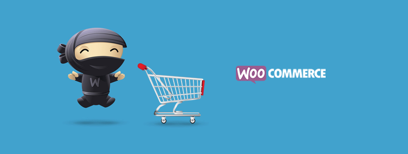 WooCommerce Customization Plugin For Net 30 Payment Terms
