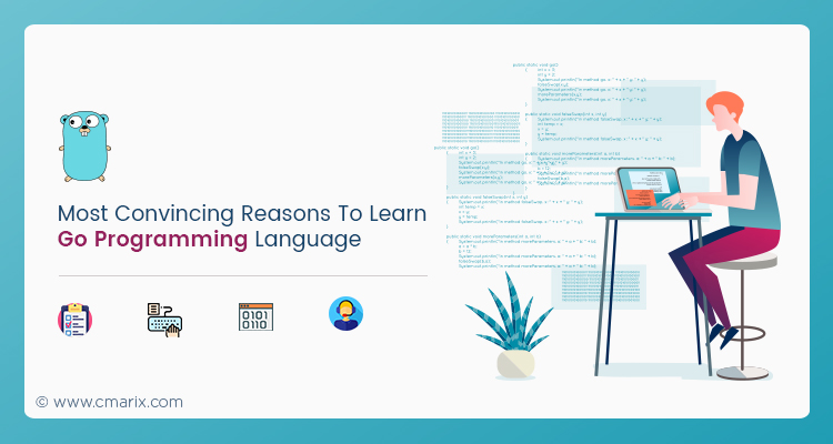 Most Convincing Reasons To Learn Go Programming Language