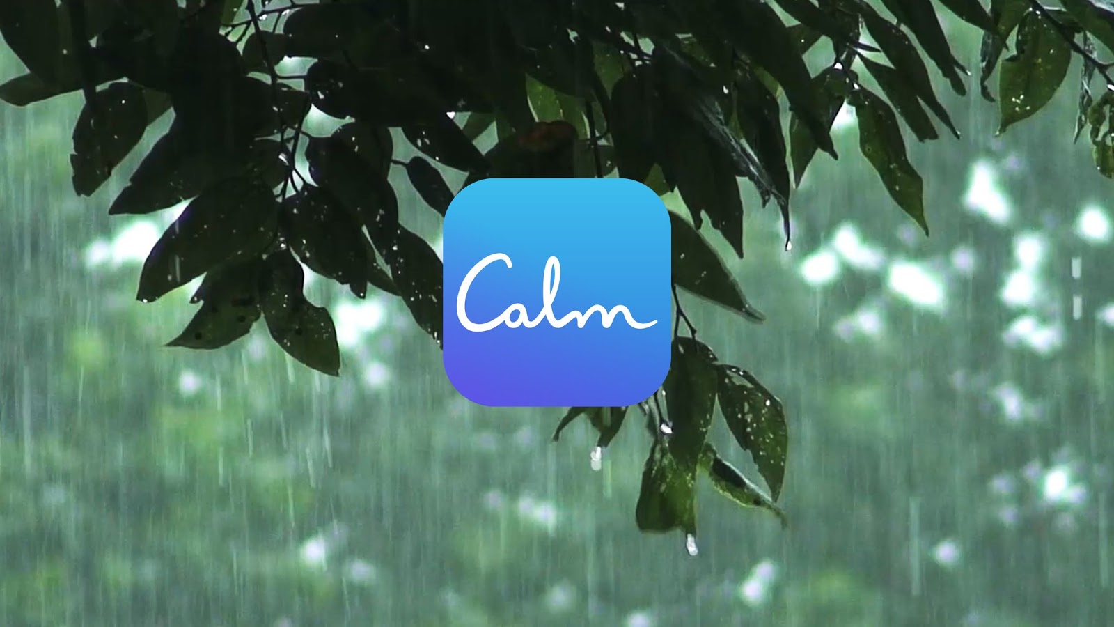 App Like Calm