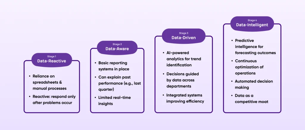 Data Maturity Model