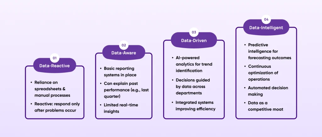 The Data Maturity Model