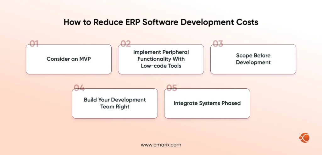 Tips for reducing ERP development costs