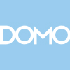 Domo AI Governance